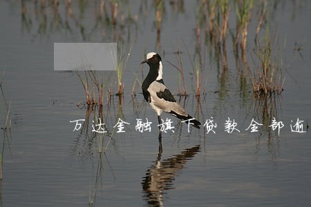 万达金融旗下贷款全部逾期 万达金融旗下贷款全部逾期