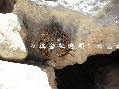 万达金融逾期5天怎么办