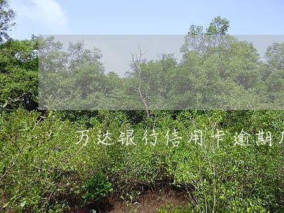 万达银行信用卡逾期几天会上门 万达银行信用卡逾期几天会上门