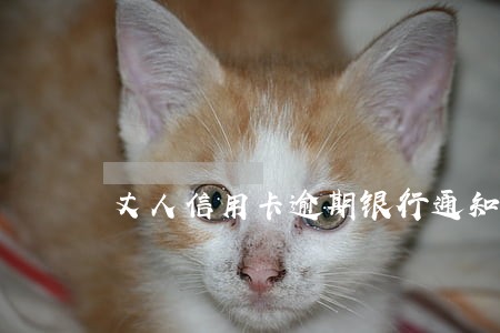 丈人信用卡逾期银行通知女婿 丈人信用卡逾期银行通知女婿