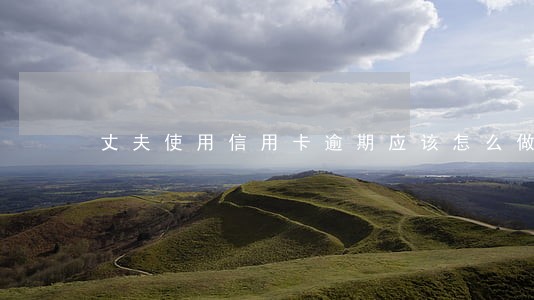 丈夫使用信用卡逾期应该怎么做