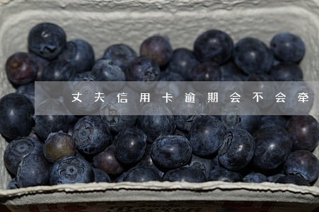 丈夫信用卡逾期会不会牵连妻子