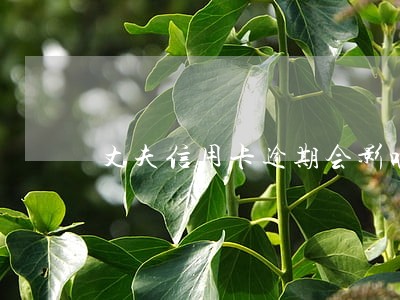 丈夫信用卡逾期会影响孩子吗
