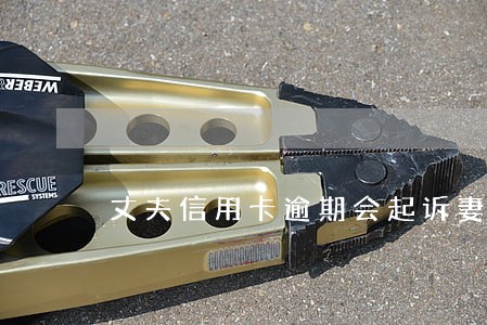 丈夫信用卡逾期会起诉妻子吗 丈夫信用卡逾期会起诉妻子吗