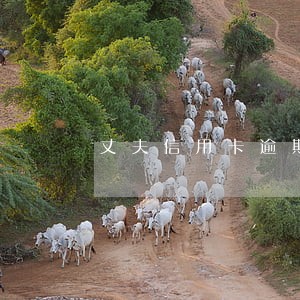 丈夫信用卡逾期坐牢期间 丈夫信用卡逾期坐牢期间