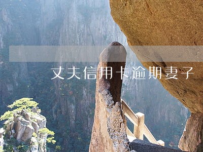 丈夫信用卡逾期妻子