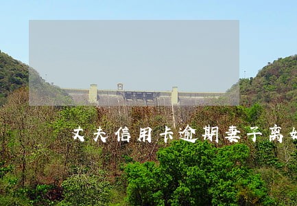丈夫信用卡逾期妻子离婚贷款 丈夫信用卡逾期妻子离婚贷款