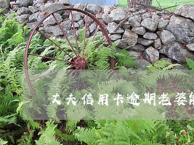 丈夫信用卡逾期老婆能贷款吗 丈夫信用卡逾期老婆能贷款吗
