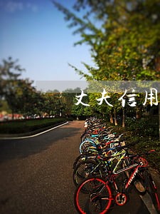 丈夫信用卡逾期要和妻子离婚 丈夫信用卡逾期要和妻子离婚