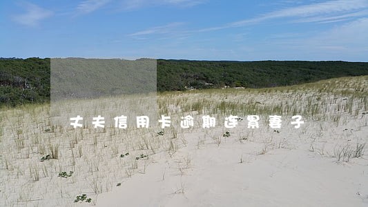丈夫信用卡逾期连累妻子