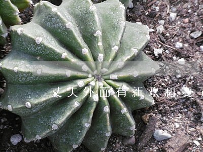 丈夫外面有新欢和妻子离婚 丈夫外面有新欢和妻子离婚