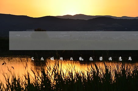 丈夫婚内出轨老婆决意离婚 丈夫婚内出轨老婆决意离婚