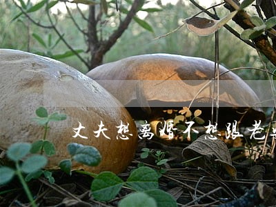 丈夫想离婚不想跟老婆说 丈夫想离婚不想跟老婆说