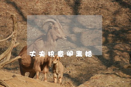 丈夫执意闹离婚 丈夫执意闹离婚