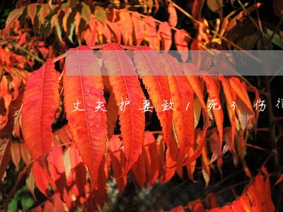 丈夫护妻致1死3伤律师 丈夫护妻致1死3伤律师