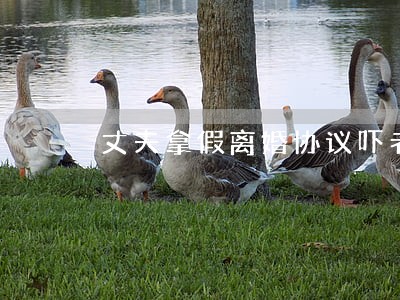 丈夫拿假离婚协议吓老婆 丈夫拿假离婚协议吓老婆