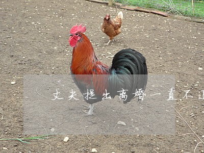 丈夫提出离婚一直不退彩礼 丈夫提出离婚一直不退彩礼