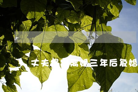 丈夫提出离婚三年后复婚 丈夫提出离婚三年后复婚