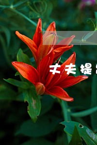丈夫提出离婚有什么原因