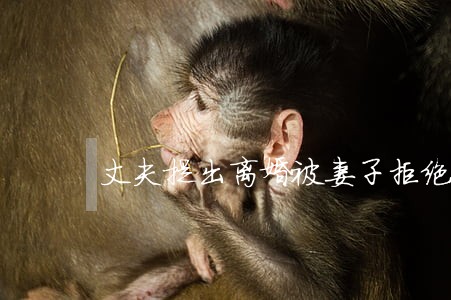 丈夫提出离婚被妻子拒绝 丈夫提出离婚被妻子拒绝
