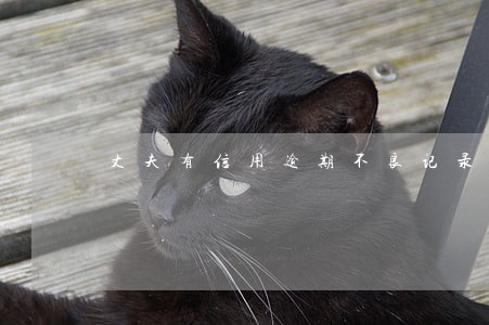 丈夫有信用逾期不良记录 丈夫有信用逾期不良记录