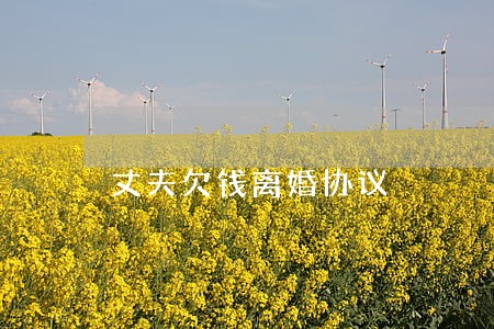 丈夫欠钱离婚协议 丈夫欠钱离婚协议