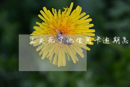 丈夫死了他信用卡逾期怎么办 丈夫死了他信用卡逾期怎么办