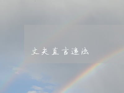 丈夫直言违法 丈夫直言违法