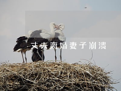 丈夫离婚妻子崩溃 丈夫离婚妻子崩溃