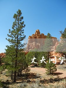 丈夫网贷逾期会找妻子吗 丈夫网贷逾期会找妻子吗