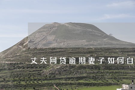 丈夫网贷逾期妻子如何自保 丈夫网贷逾期妻子如何自保