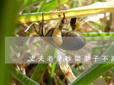 丈夫老是吵架妻子不离婚 丈夫老是吵架妻子不离婚