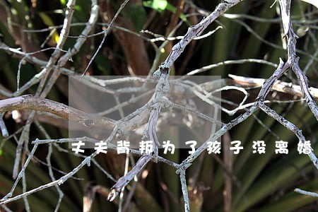 丈夫背叛为了孩子没离婚 丈夫背叛为了孩子没离婚