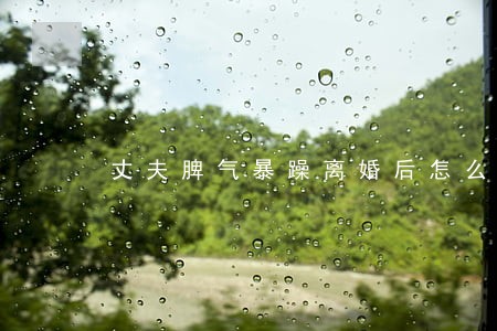 丈夫脾气暴躁离婚后怎么办 丈夫脾气暴躁离婚后怎么办