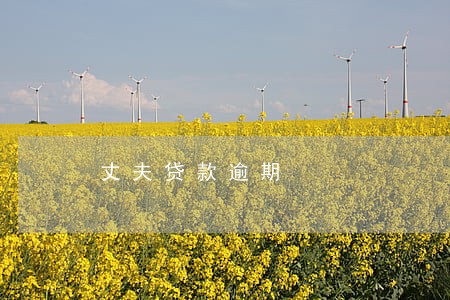 丈夫贷款逾期