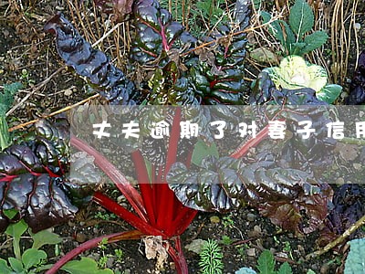 丈夫逾期了对妻子信用有影响吗 丈夫逾期了对妻子信用有影响吗