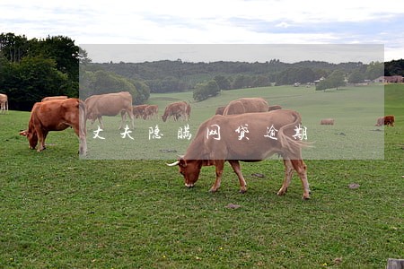 丈夫隐瞒网贷逾期 丈夫隐瞒网贷逾期