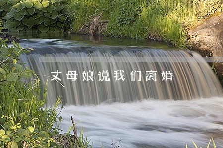 丈母娘说我们离婚 丈母娘说我们离婚
