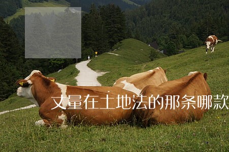 丈量在土地法的那条哪款 丈量在土地法的那条哪款