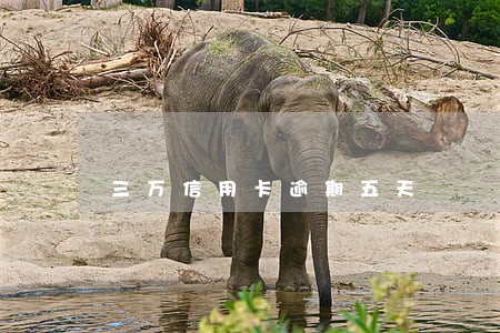 三万信用卡逾期五天 三万信用卡逾期五天