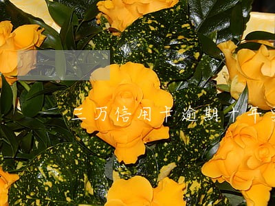 三万信用卡逾期十年要还多少 三万信用卡逾期十年要还多少