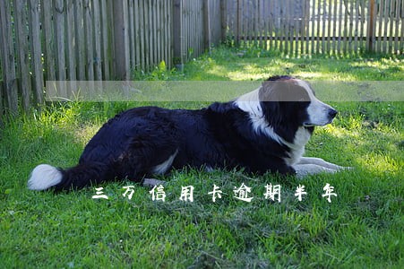 三万信用卡逾期半年