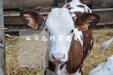 三万元网贷逾期 三万元网贷逾期