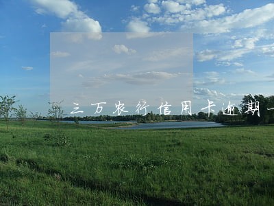 三万农行信用卡逾期一年多少费用 三万农行信用卡逾期一年多少费用