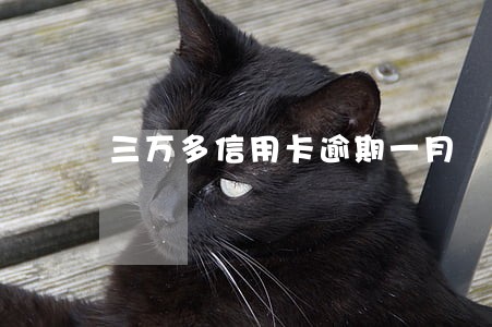 三万多信用卡逾期一月 三万多信用卡逾期一月