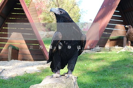 三万现金存错卡法院帮追回 三万现金存错卡法院帮追回