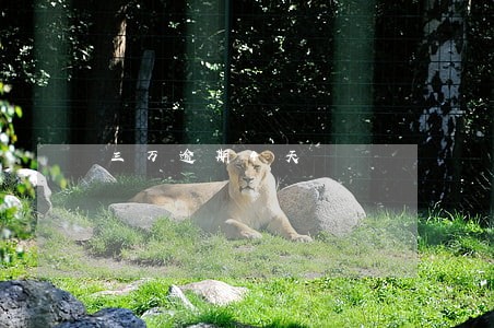 三万逾期4天 三万逾期4天