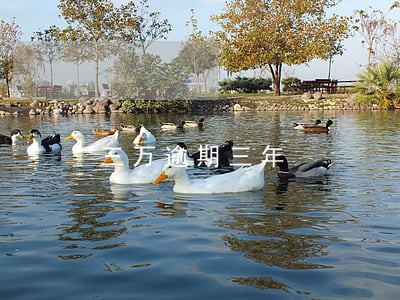 三万逾期三年 三万逾期三年