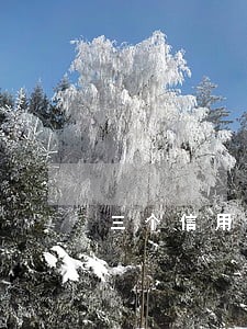 三个信用贷逾期 三个信用贷逾期