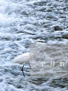 三个月的宝宝想离婚怎么办 三个月的宝宝想离婚怎么办